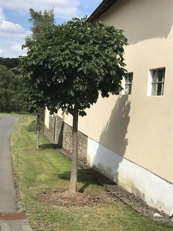 Ferienwohnung Schloessershof Borler 외부 사진
